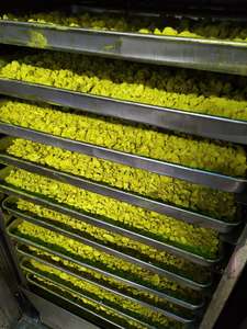 Fabrika kaynağı japonra Japonica özü <span class=keywords><strong>Quercetin</strong></span> tozu 98% 95% <span class=keywords><strong>Quercetin</strong></span> - Product Image 3