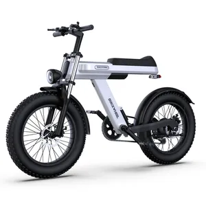 Ce Groothandel Hoge Kwaliteit Elektrische Fietsen 48v15ah Bromfiets Volwassen Snelheid 50 Km/h Elektrische Quad 1000W Elektrische Stadsfiets