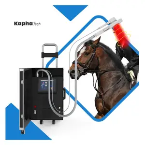 Physio Magneto With Infrared Light Therapy Magnetic Professional Medical Devices Pemf Massage Equipment Physical Therapy For Vet