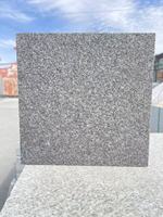 Grandes dalles de granit noir sésame G654, 600x600mm, 20mm d'épaisseur, polies, de qualité supérieure, légères, pour projets de comptoirs et de sols