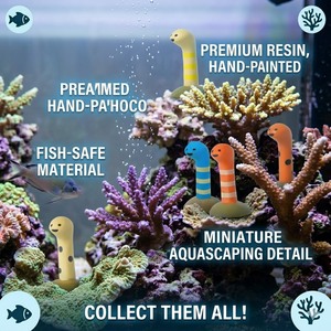 Ornements de bassin en PVC durables, thème Plage d'été et Monde <span class=keywords><strong>marin</strong></span>, Coquillages et Coraux, pour la décoration intérieure et extérieure, paysage miniature - Product Image 5