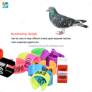 YYG LMA09 Anneaux de patte numériques réutilisables en plastique pour pigeons et perroquets, accessoires pour oiseaux - Product Image 4