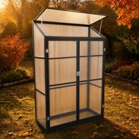Petite serre en aluminium à double porte avec panneaux transparents, écologique et anti-rongeurs, idéale pour un jardin ensoleillé dans la cour.