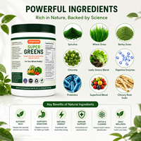 Poudre de Super Aliments Verts Marque Blanche – Complément Alimentaire pour la Santé Digestive, Sans OGM, Végétalien, Sans Gluten, à Base de Plantes, pour Adultes, OEM
