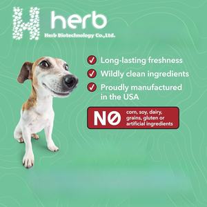 Probiótico en Polvo para Mascotas ODM/OEM, Suplemento para la Salud Digestiva de Perros y Gatos, Favorece la Salud Dental - Product Image 4