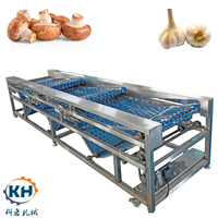 KEHONG Merk KHFX-PD-3J Onderhoudsarme 220V Groente- en Fruit sorteermachine voor gember, kurkuma en zoete aardappel verwerking |