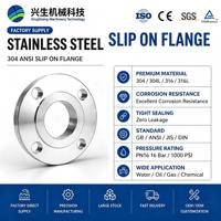 Bride à enfiler forgée STM A182 F304 SS304 ANSI B16.5 Classe 150 300 DN25 DN400 pour conduites d'eau, d'huile et de gaz