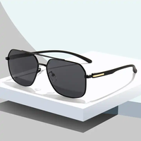 Lunettes surdimensionnées polarisées de haute qualité Lunettes de soleil PC TAC tendance de marque privée de Chine
