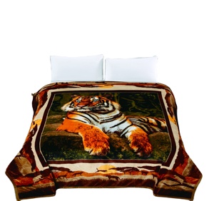 Anyu Động Vật In MOQ 1 Giá Rẻ Giá 210*230Cm Duy Nhất Hai Lớp 400 GSM 100% <span class=keywords><strong>Polyester</strong></span> Flannel Chăn Trong Kho <span class=keywords><strong>Tiger</strong></span> In - Product Image 1