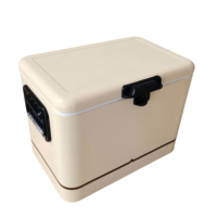 Contenitore Termico in Metallo da 30L/40L/50L, Borsa Frigo per Feste, Mantiene Fresco, Vendita Calda