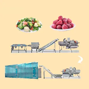 automatic frozen fruit and vegetable cleaning freezing and packaging production line