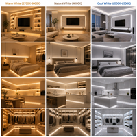 Interrupteur tactile pour bande LED AC 85V-265V, intensité variable, installation dissimulée dans les armoires, capteur tactile traversant le bois, vente en gros
