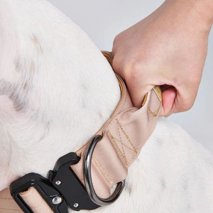 Soft <strong>Neoprene</strong> Padding Pet <strong>Collar</strong> for Large Size <strong>Dog</strong> Quick Release Tactical <strong>Dog</strong> <strong>Collar</strong> With Control Handle - Product Image 6