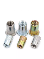 Mur Baut Rivet Tertutup Khusus Seng/Seng Kuning/SS304, Rivnut Tarik Berflens Datar Berulir untuk Otomotif & Lembaran Logam Furnitur