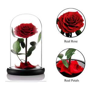 Vente en gros de fleurs éternelles naturelles Cadeau personnalisé de marque Roses uniques conservées pour toujours dans un dôme en verre pour les cadeaux de fête des mères - Product Image 4