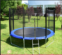 Ventes directes d'usine de haute qualité Jumping Trampoline Trampoline d'extérieur pour enfants et adultes