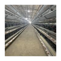 Cages de batterie automatisées de poulet de pondeuse d'équipement de ferme avicole d'automatisation Offre Spéciale pour le Kenya