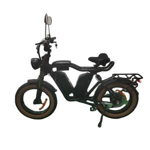 52V bici elettrica 1000W motore Bafang 22ah + 22ah doppie batterie al litio grasso pneumatico bicicletta elettrica ebike - Product Image 1