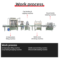 Ligne de production de mise en bouteille de vin de prune entièrement automatique et personnalisable avec machine de remplissage de liquide par lavage à l'air pour le nettoyage des bouteilles