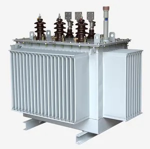 10kV 11kV 800kVA 1000kVA 1250kVA 1500kV שמן שקוע שנאי כרייה חלוקת כוח שנאי