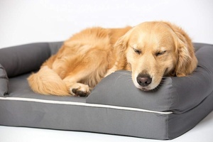 High Quality Pet <strong>Bed</strong> Pet Products Memory Foam <strong>Dog</strong> <strong>Bed</strong> Luxury <strong>Dog</strong> <strong>Bed</strong> <strong>Sofa</strong> with Waterproof Liner - Product Image 4