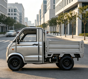 Mini-voitures électriques 3500W pour l'Europe, homologuées COC, 4 roues, camions, véhicules à énergie nouvelle 3500W - Product Image 5