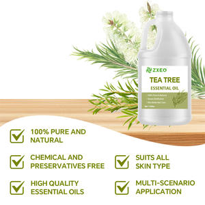 Großhandel Bio-Teebaumöl 100% reine natürliche australische Teebaum ätherische Öle für die Körperpflege und Hautpflege - Product Image 2