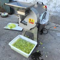 Commerciële Automatische Fruitsnijder Voor Plantaardige En Aardappel Komkommer Ui Wortel Kern Motorcomponent