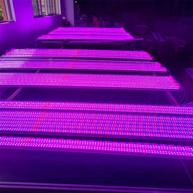 Best Ip65 Horticulture Indoor LED Grow Light Bar 2ft 3ft 4ft Full Spectrum Blue Red Aluminum Lamp Waterproof Chip for Plants