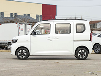 Wuling Zhiguang Nueva Energía 2025 305km Vehículo de Nueva Energía Avanzado Minivan para Transporte Urbano, Pasajeros y Uso Familiar en Viajes Urbanos