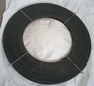 Cr20Ni80 니크롬 평면 리본 와이어 히팅 저항 테이프 - Product Image 2