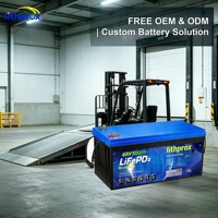 Batterie de chariot élévateur 48V 100Ah LiFePO4 de qualité automobile, sortie stable pour usine et entrepôt, CE RoHS IP67, OEM ODM