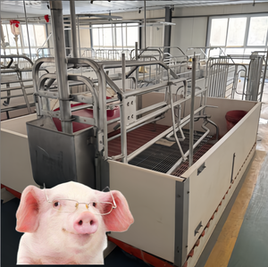 Bán buôn lợn trang trại thiết bị lợn farrowing <span class=keywords><strong>Crate</strong></span> lợn nái <span class=keywords><strong>Crate</strong></span> mang thai gian hàng - Product Image 2