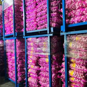 Bawang Putih Segar Murni atau Normal Sayuran Segar Harga Grosir Alho Ail Ajo Ajo Diekspor Dari Cina - Product Image 6