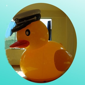 Quảng cáo lớn <span class=keywords><strong>Inflatable</strong></span> <span class=keywords><strong>Superman</strong></span> Vịt đồ chơi, động vật nổi cưỡi - Product Image 2