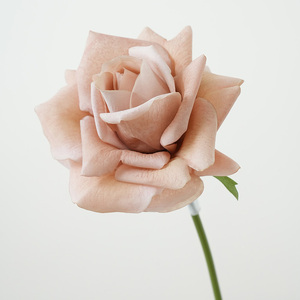 Rose artificielle en latex au toucher réel |   Rose rose à tige unique, douce et soyeuse |   Décoration de <span class=keywords><strong>mariage</strong></span> et de maison en gros pour le bricolage - Product Image 3