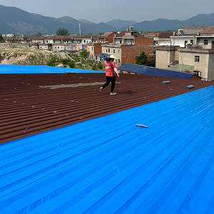 Empêchez la corrosion de panneau de toit en métal par l'installation de membrane de cachetage de fuite de toit - Product Image 5