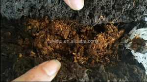 Tự động nấm cấy Máy Nấm Chất nền điền đóng bao máy nấm <span class=keywords><strong>mycelium</strong></span> planter máy - Product Image 5