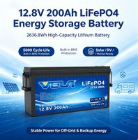 VELA VB120200 12.8V 200Ah LiFePO4 Baterai Penyimpanan Energi Surya Siklus Dalam untuk Sistem Off-Grid Pedesaan, Penggunaan Luar Ruangan RV, Bersertifikasi CE 5000