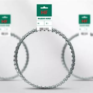 Fil barbelé galvanisé à chaud BTO-22 de 450 mm de diamètre de rouleau, revêtu de PVC, pour zone à haute sécurité - Product Image 2