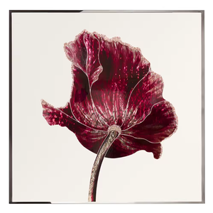 Famoso rojo arte moderno cristal diamante arte pintura Kit 3D vidrio <span class=keywords><strong>flores</strong></span> pinturas <span class=keywords><strong>de</strong></span> <span class=keywords><strong>flores</strong></span> - Product Image 2