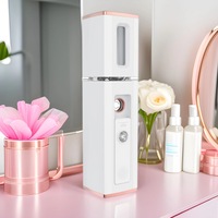 Vaporizador Facial Iónico Nano Portátil 2024, Vaporizador de Agua de Mano para Uso Doméstico, Spray de Vapor Frío, Venta al por Mayor, Alimentado por Batería