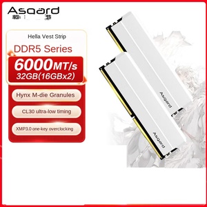 Asgard Hella DDR5-6000-32G-C30 Titanium Silver Armor REG ECC Ensemble de mémoire multi-fréquence, Moule privé, Utilisé pour serveur, Occasion R - Product Image 6