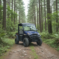 Buggy agricole électrique certifié EPA EEC 4x4 72V/15KW avec benne basculante pour travaux agricoles