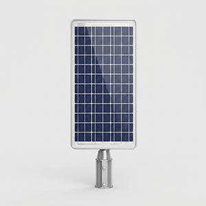 Solar LED Street Lamp Outdoor Lamp Community Municipal <b>Lighting</b> Engineering Lamp 6W Stainless Steel IP65 Waterproof 50W Super - Product Image 1