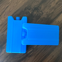 Blocs de glace en plastique dur réutilisables personnalisés Glacière en gel pour congélateur Brique de glace