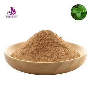 100% Natural Peppermint Leaf Extract Organic Mint Extract Peppermint Powder