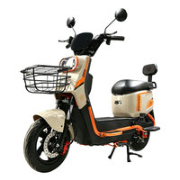 Vélo électrique pas cher 48V 500W à pneus gonflables, deux places, pour adultes, pour les trajets quotidiens