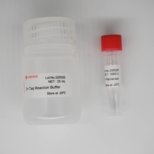 Super <span class=keywords><strong>Hot</strong></span> <span class=keywords><strong>Start</strong></span> Taq-Hs ADN Polimerasa - Product Image 3