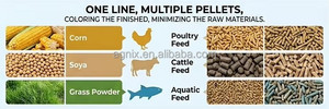1-2t/h Advanced Broiler Layer <b>Chicken</b> & Cow <b>Feed</b> Manufacturing Production Line - Product Image 6